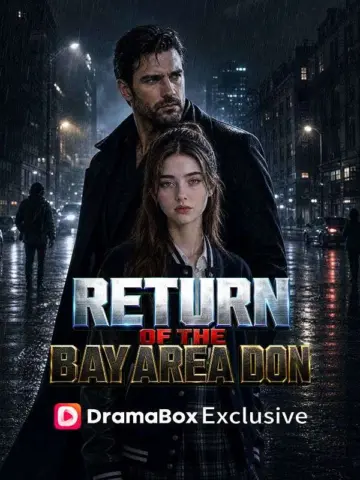 Return of the Bay Area Don poster
